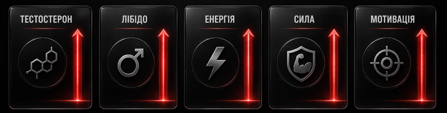 Інфографіка зв’язку тестостерону з енергією, лібідо, силою, мотивацією та відновленням