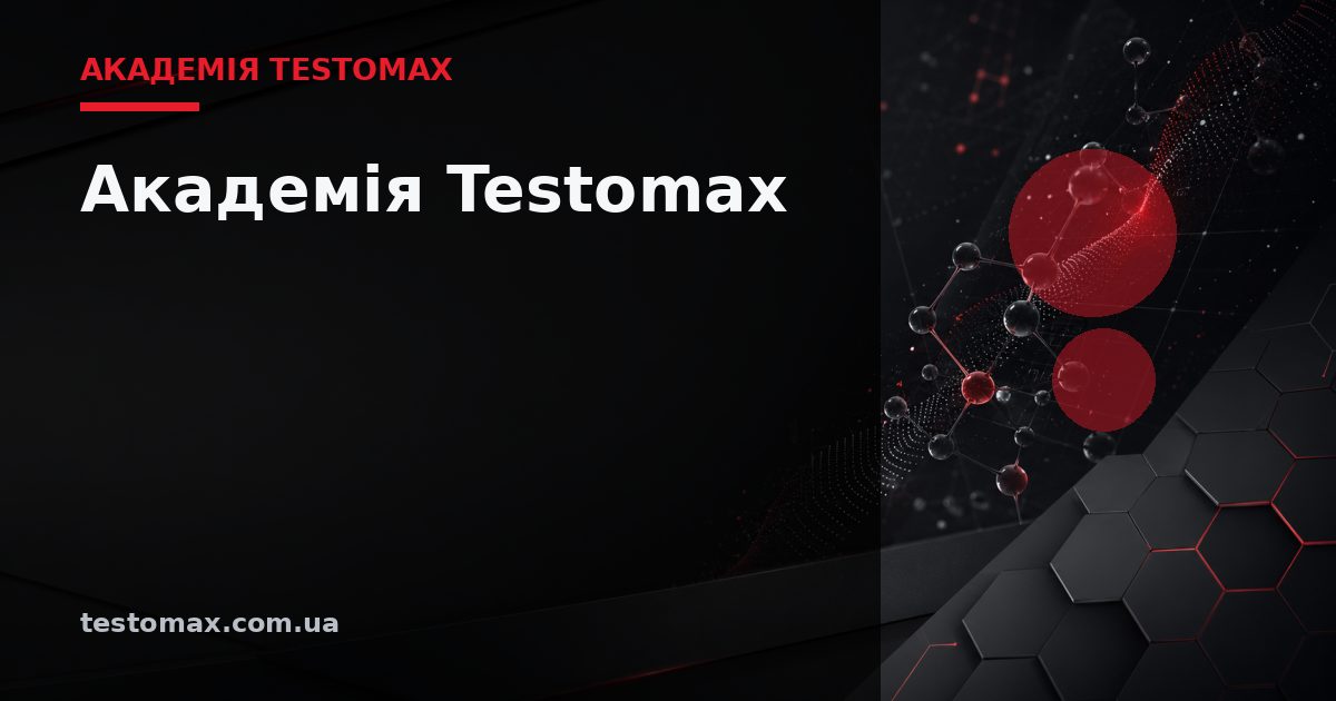 Академія Testomax — Академія TESTOMAX
