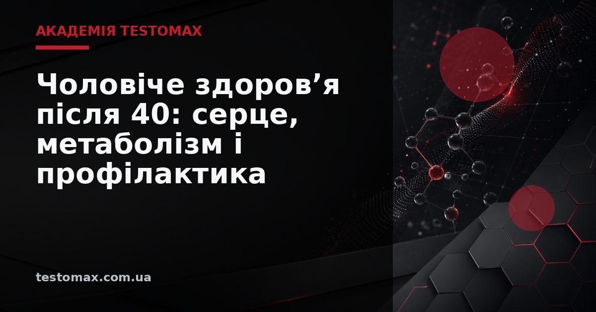 Чоловіче здоров’я після 40: серце, метаболізм і профілактика — Академія TESTOMAX