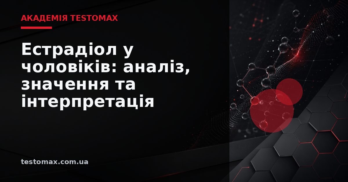 Естрадіол у чоловіків: аналіз, значення та інтерпретація — Академія TESTOMAX
