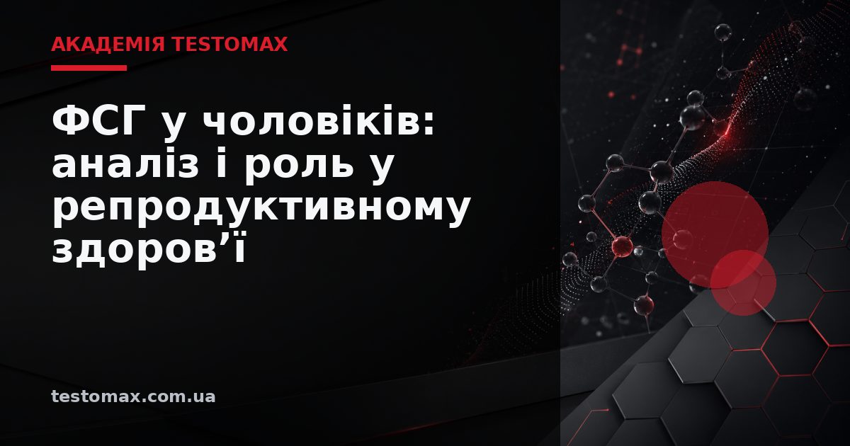 ФСГ у чоловіків: аналіз і роль у репродуктивному здоров’ї — Академія TESTOMAX