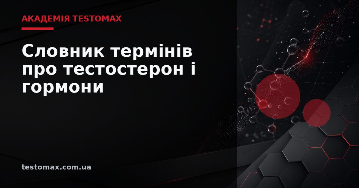 Словник термінів про тестостерон і гормони — Академія TESTOMAX