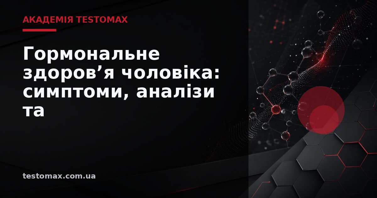 Гормональне здоров’я чоловіка: симптоми, аналізи та профілактика — Академія TESTOMAX