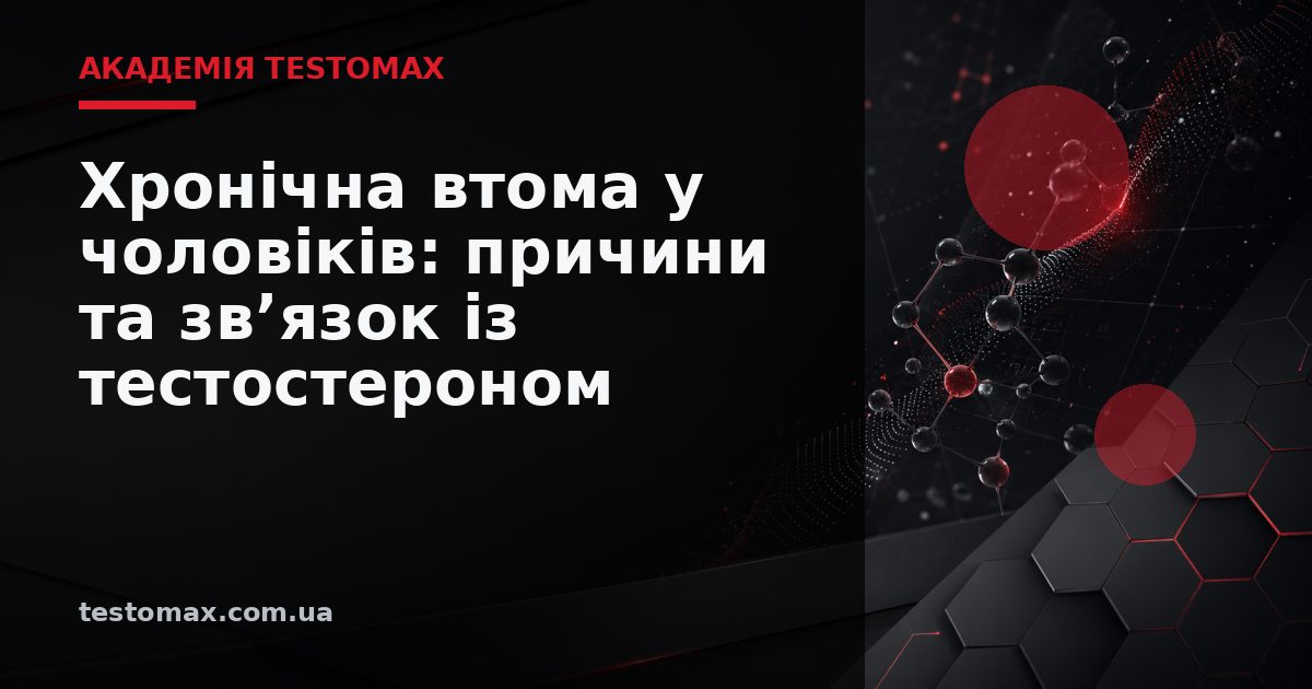Хронічна втома у чоловіків: причини та зв’язок із тестостероном — Академія TESTOMAX
