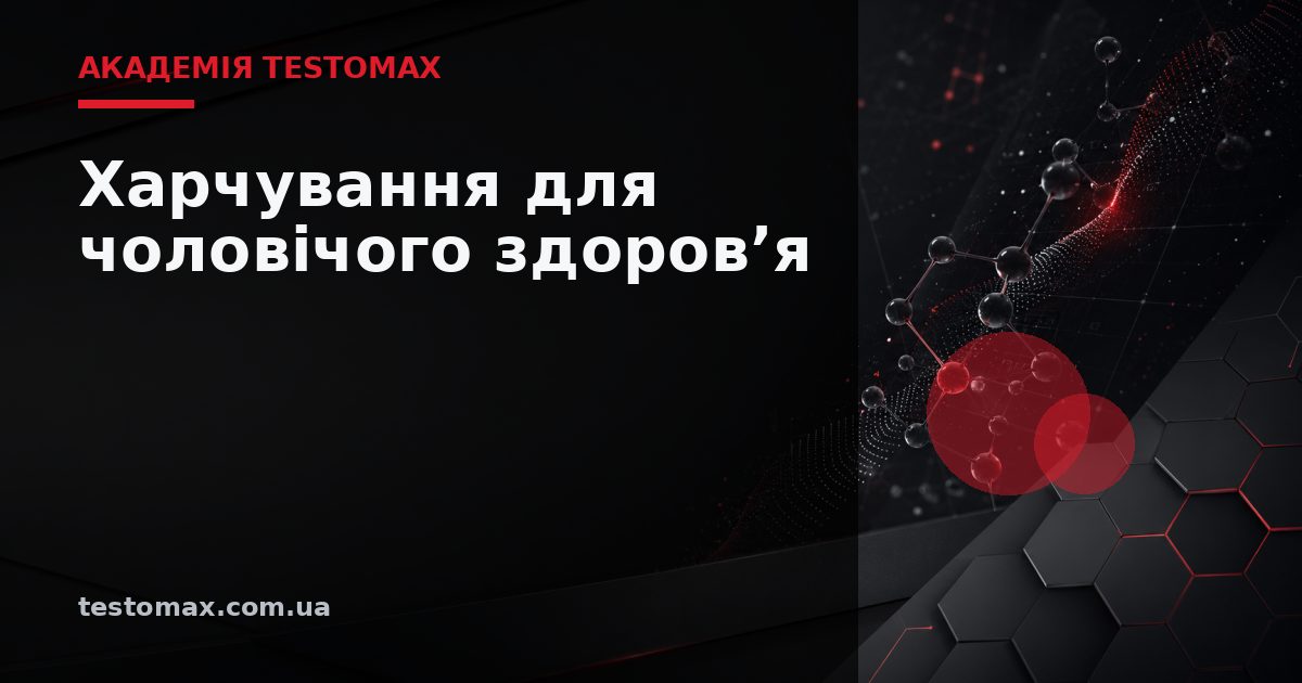 Харчування для чоловічого здоров’я — Академія TESTOMAX