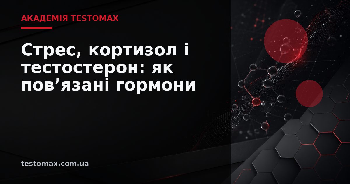 Стрес, кортизол і тестостерон: як пов’язані гормони — Академія TESTOMAX