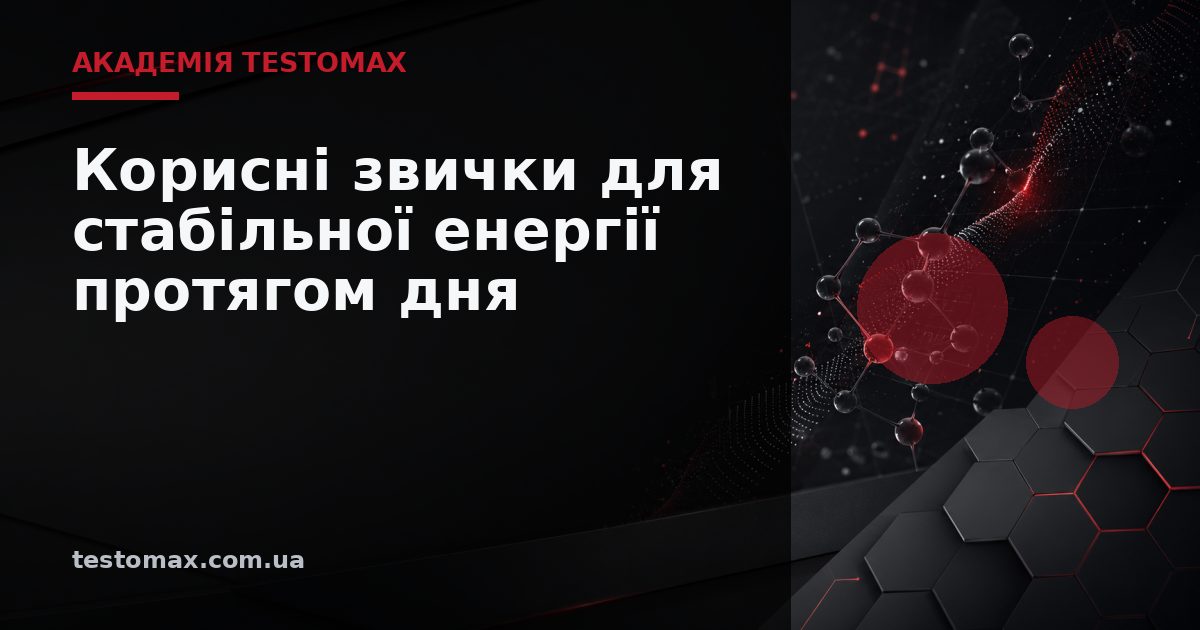 Корисні звички для стабільної енергії протягом дня — Академія TESTOMAX