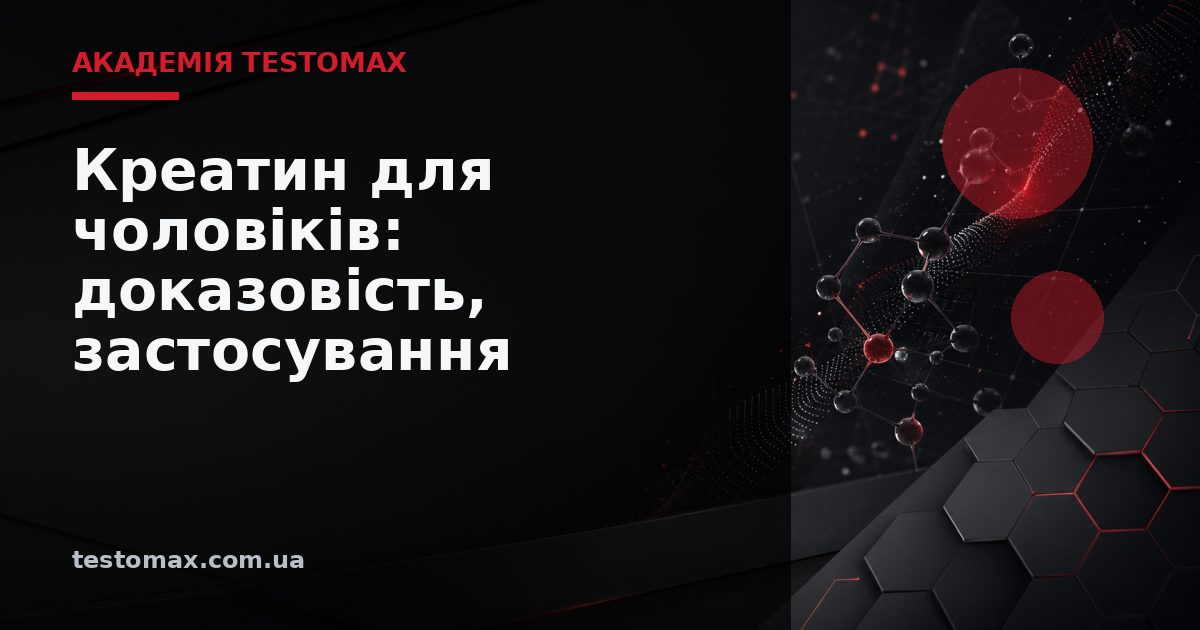 Креатин для чоловіків: доказовість, застосування та безпека — Академія TESTOMAX