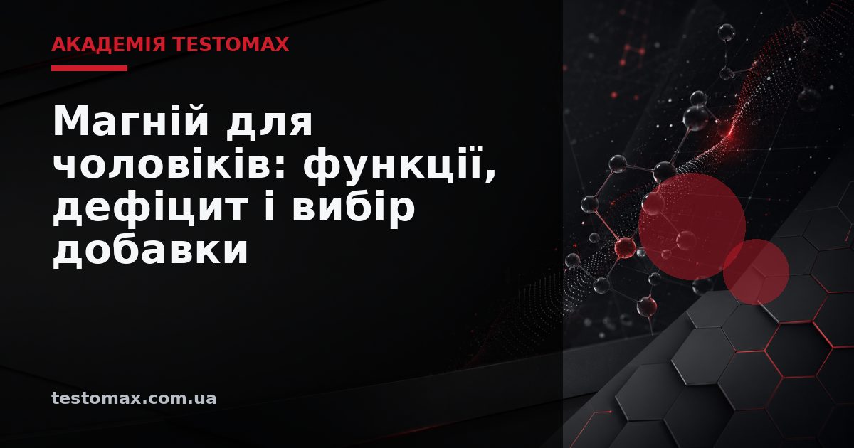 Магній для чоловіків: функції, дефіцит і вибір добавки — Академія TESTOMAX