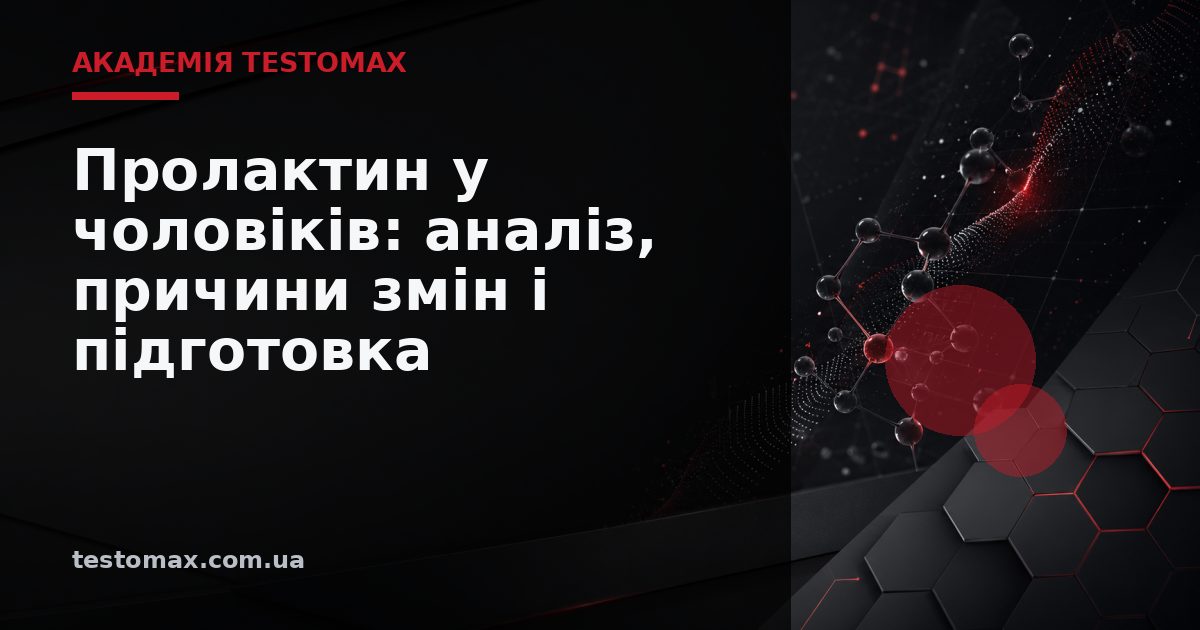 Пролактин у чоловіків: аналіз, причини змін і підготовка — Академія TESTOMAX