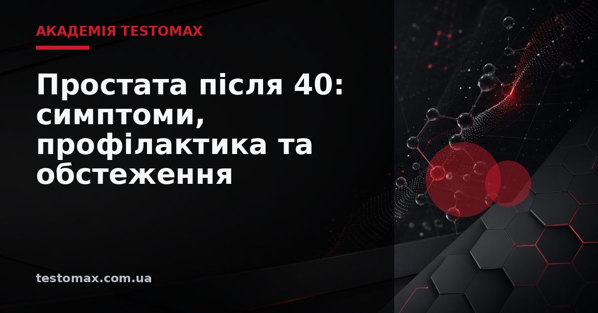 Простата після 40: симптоми, профілактика та обстеження — Академія TESTOMAX
