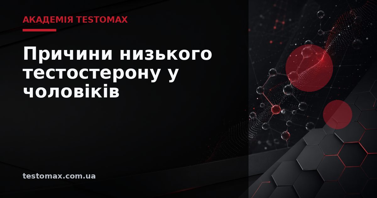 Причини низького тестостерону у чоловіків — Академія TESTOMAX