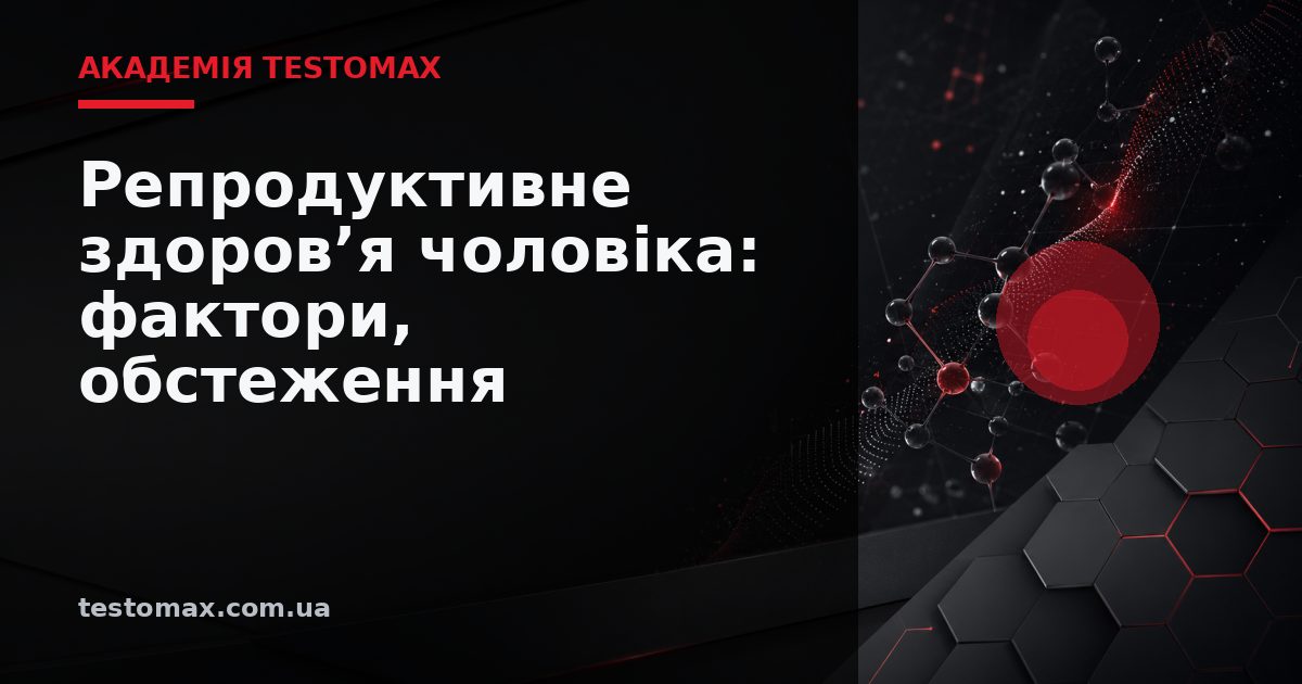 Репродуктивне здоров’я чоловіка: фактори, обстеження і профілактика — Академія TESTOMAX