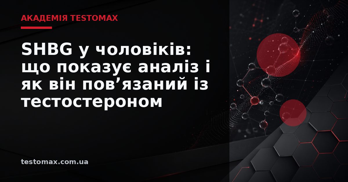 SHBG у чоловіків: що показує аналіз і як він пов’язаний із тестостероном — Академія TESTOMAX