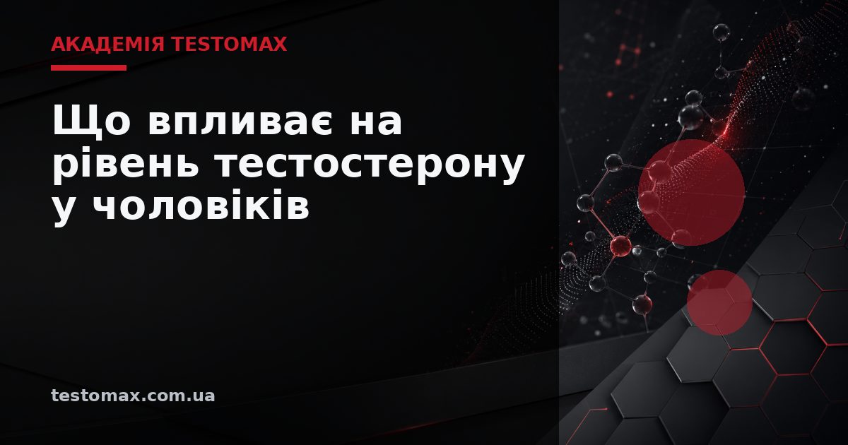 Що впливає на рівень тестостерону у чоловіків — Академія TESTOMAX