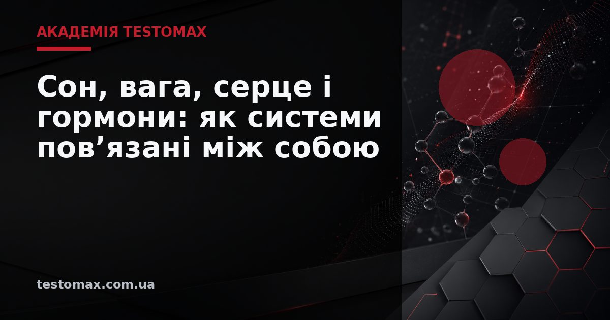 Сон, вага, серце і гормони: як системи пов’язані між собою — Академія TESTOMAX