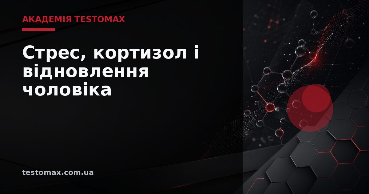 Стрес, кортизол і відновлення чоловіка — Академія TESTOMAX