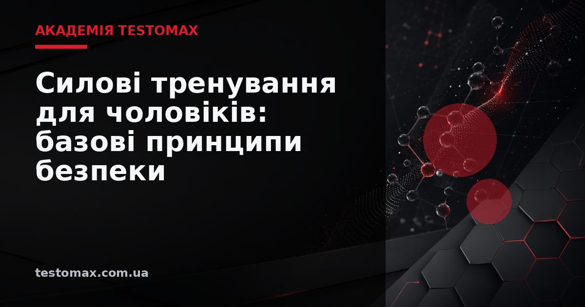 Силові тренування для чоловіків: базові принципи безпеки — Академія TESTOMAX