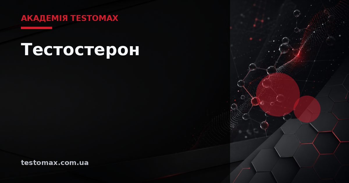 Тестостерон — Академія TESTOMAX