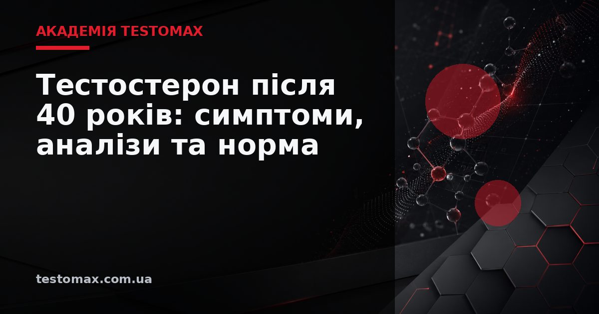 Тестостерон після 40 років: симптоми, аналізи та норма — Академія TESTOMAX