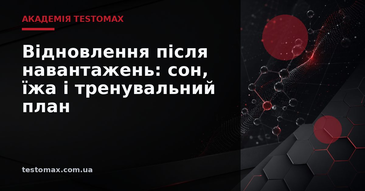 Відновлення після навантажень: сон, їжа і тренувальний план — Академія TESTOMAX