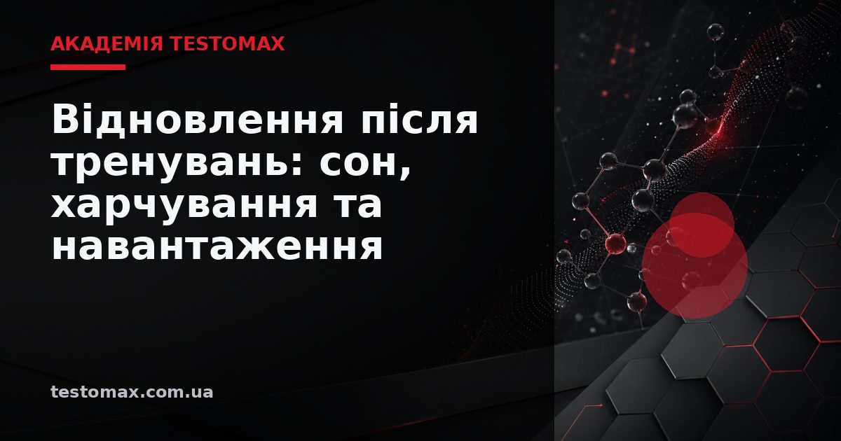 Відновлення після тренувань: сон, харчування та навантаження — Академія TESTOMAX