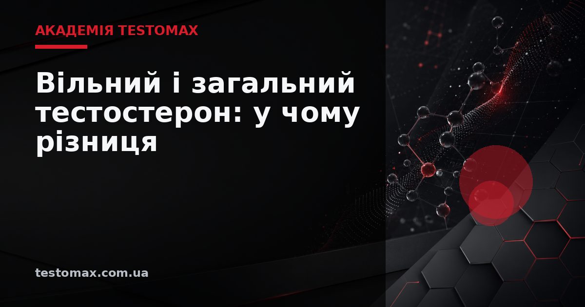 Вільний і загальний тестостерон: у чому різниця — Академія TESTOMAX