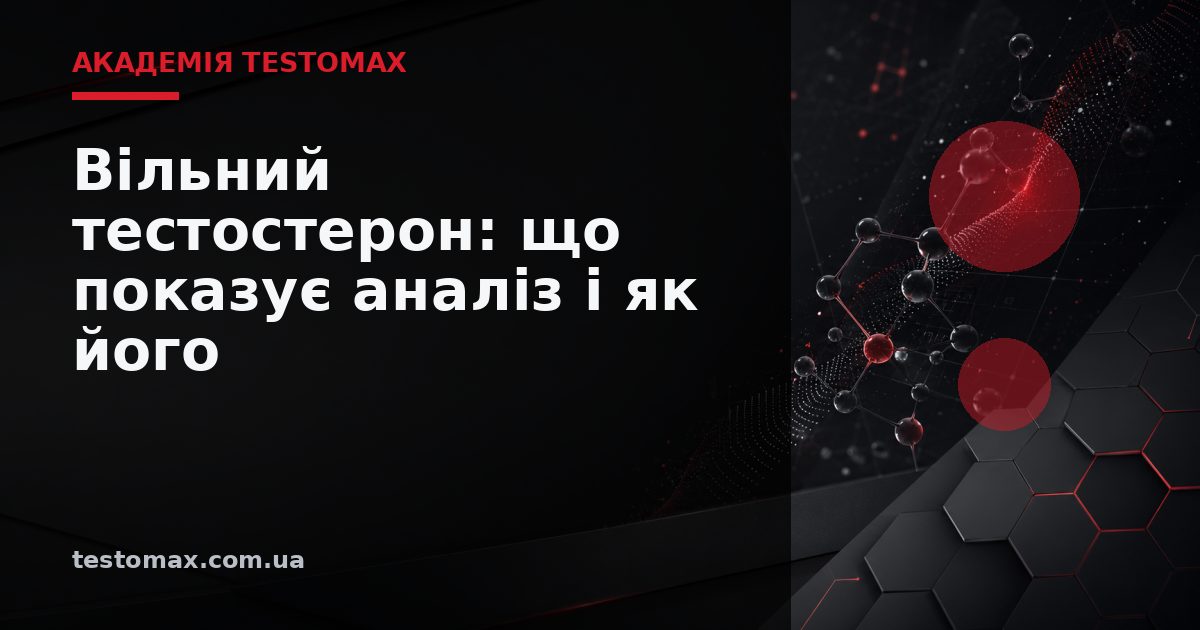 Вільний тестостерон: що показує аналіз і як його оцінюють — Академія TESTOMAX