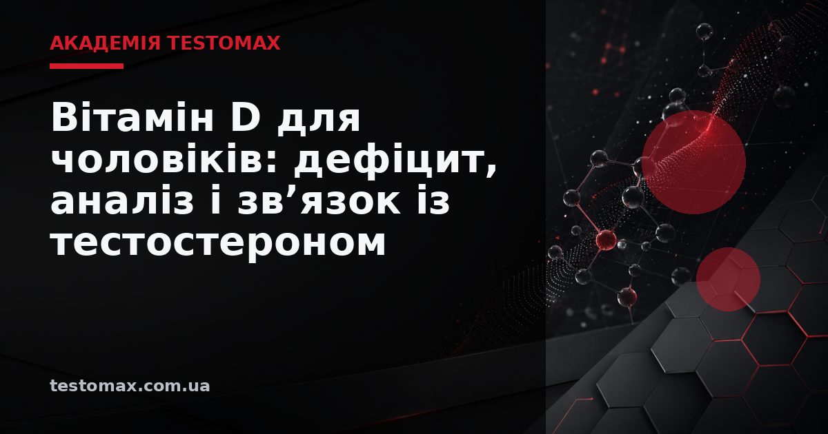 Вітамін D для чоловіків: дефіцит, аналіз і зв’язок із тестостероном — Академія TESTOMAX