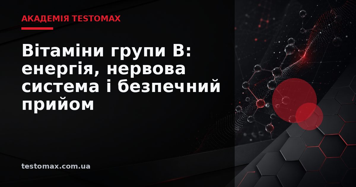 Вітаміни групи B: енергія, нервова система і безпечний прийом — Академія TESTOMAX