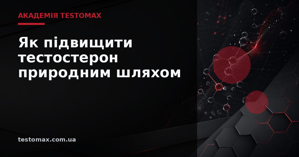Як підвищити тестостерон природним шляхом — Академія TESTOMAX