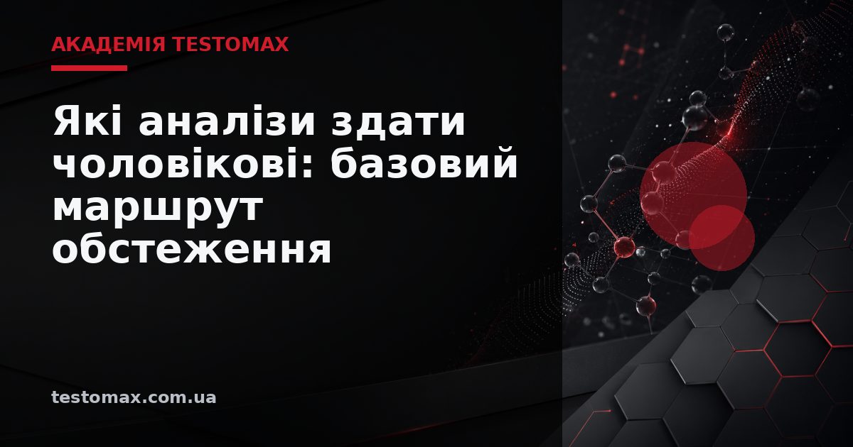 Які аналізи здати чоловікові: базовий маршрут обстеження — Академія TESTOMAX