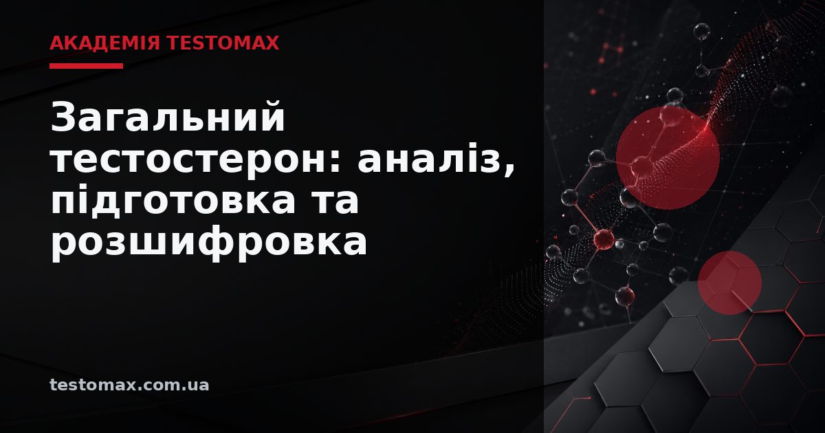 Загальний тестостерон: аналіз, підготовка та розшифровка — Академія TESTOMAX
