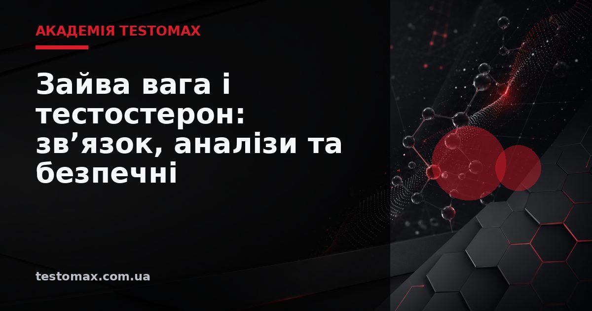 Зайва вага і тестостерон: зв’язок, аналізи та безпечні зміни — Академія TESTOMAX