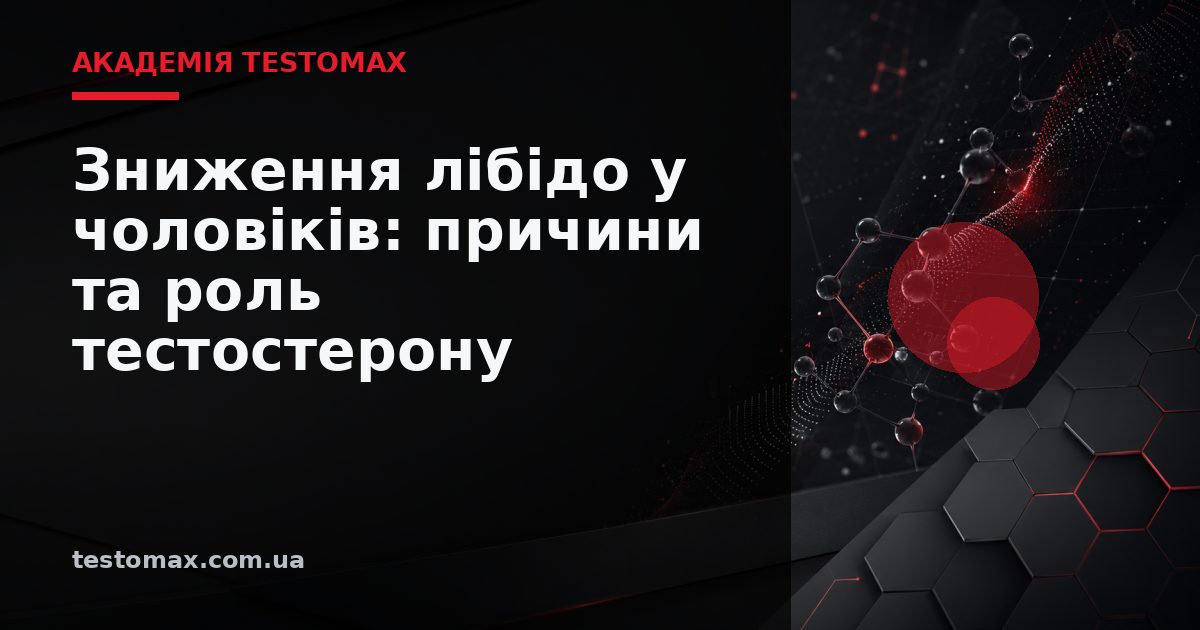 Зниження лібідо у чоловіків: причини та роль тестостерону — Академія TESTOMAX
