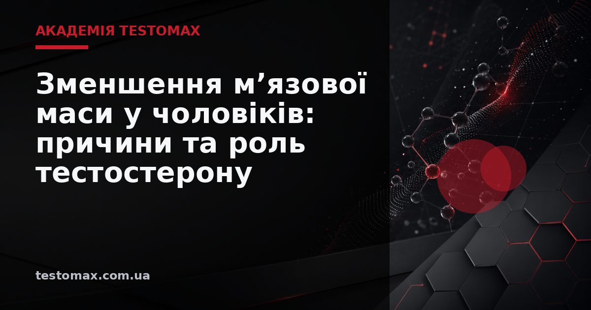 Зменшення м’язової маси у чоловіків: причини та роль тестостерону — Академія TESTOMAX